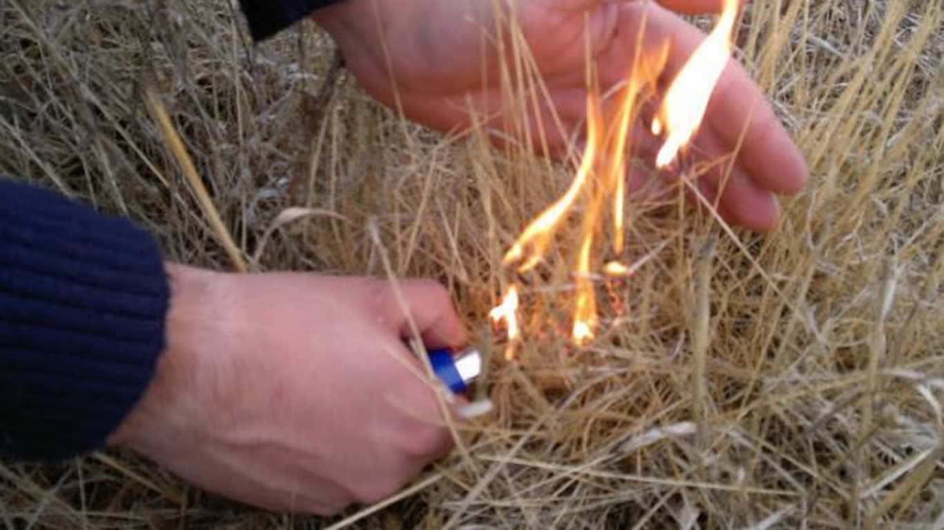 Jornal do Fundão - Jovem de 14 anos suspeito da autoria de dois fogos na Guarda