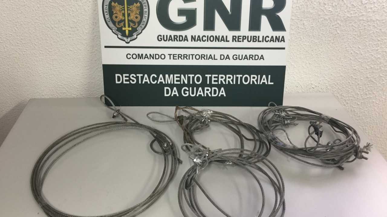 Jornal do Fundão - Detido por usar laços de aço para caçar javalis