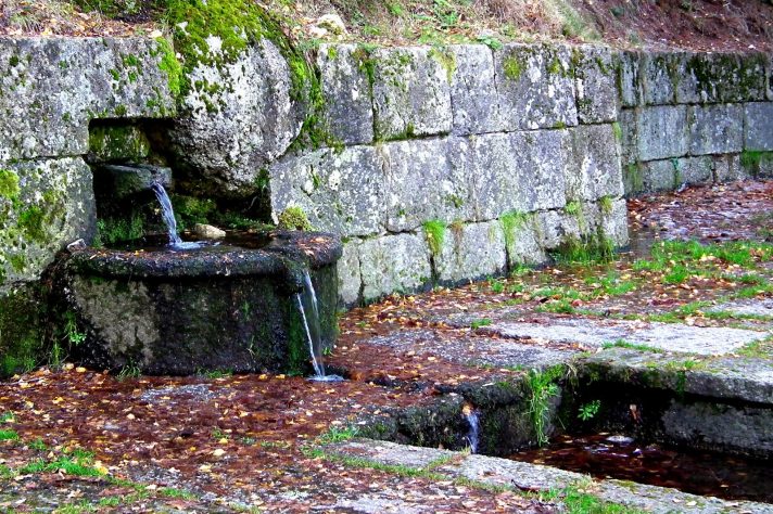Jornal do Fundão - Câmara de Gouveia limpa nascente do rio Mondego